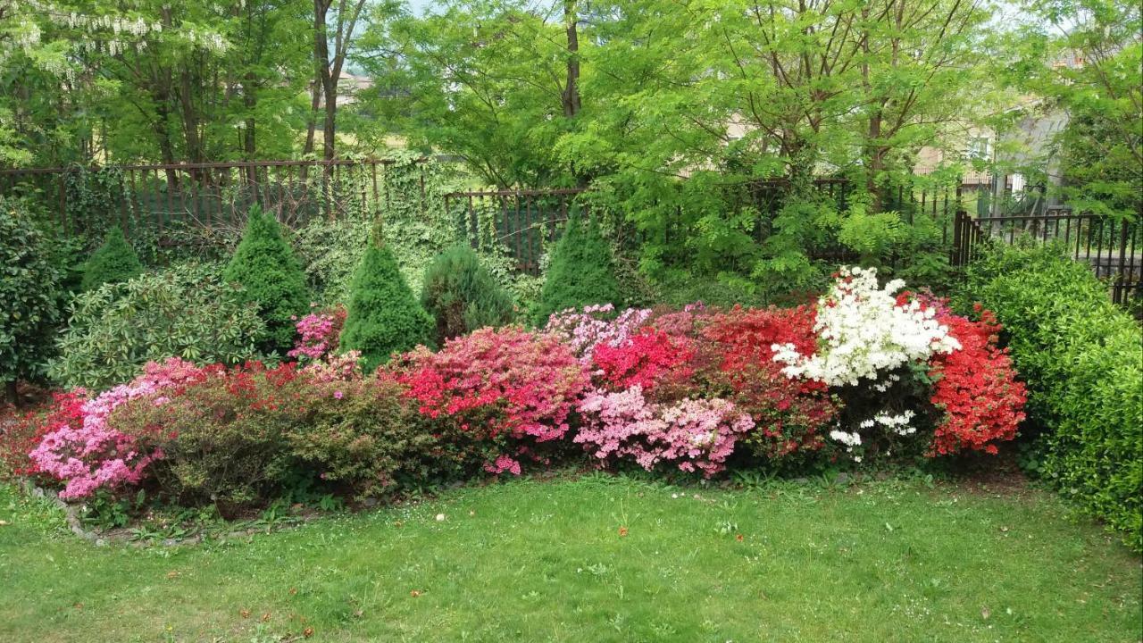 Il Giardino Apartman Colico Kültér fotó